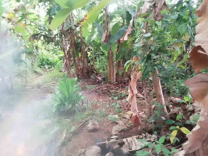 Land for Sale in Aluthgama
