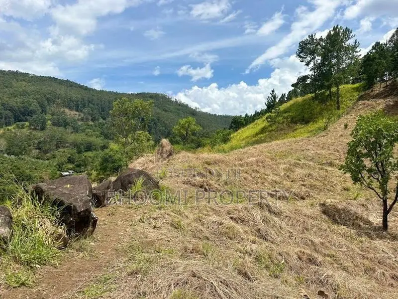 Land Plots for Sale in Kithalella