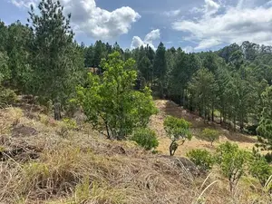Land Plots for Sale in Kithalella