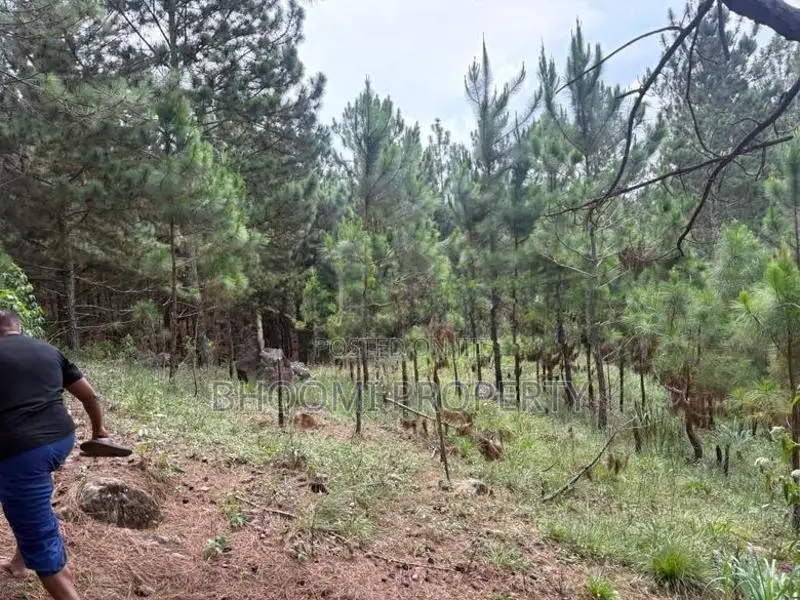 Land Plots for Sale in Kithalella