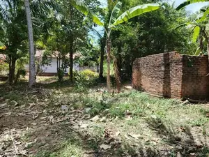 Lands for Sale in Wennappuwa , Lunuwila