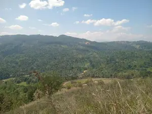 Beautiful Land in Nilamba