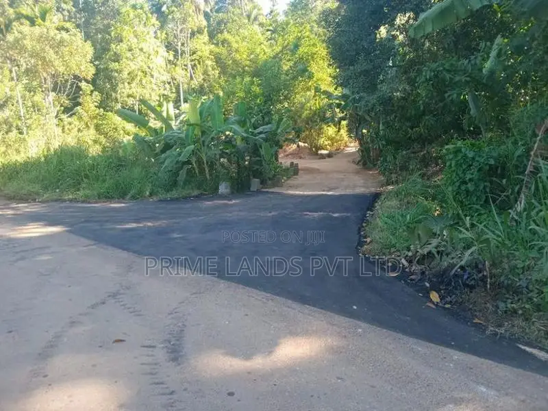 Beautiful Land in Nilamba