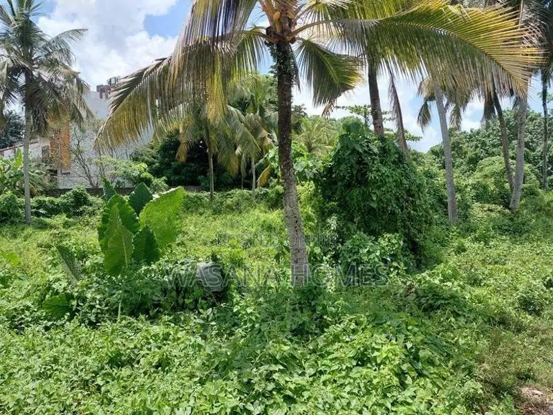 Super Land for Sale Borelesgamuwa