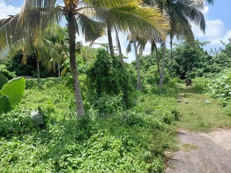 Super Land for Sale Borelesgamuwa