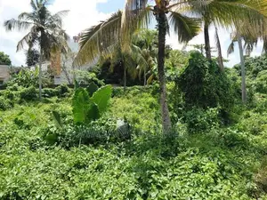 Super Land for Sale Borelesgamuwa
