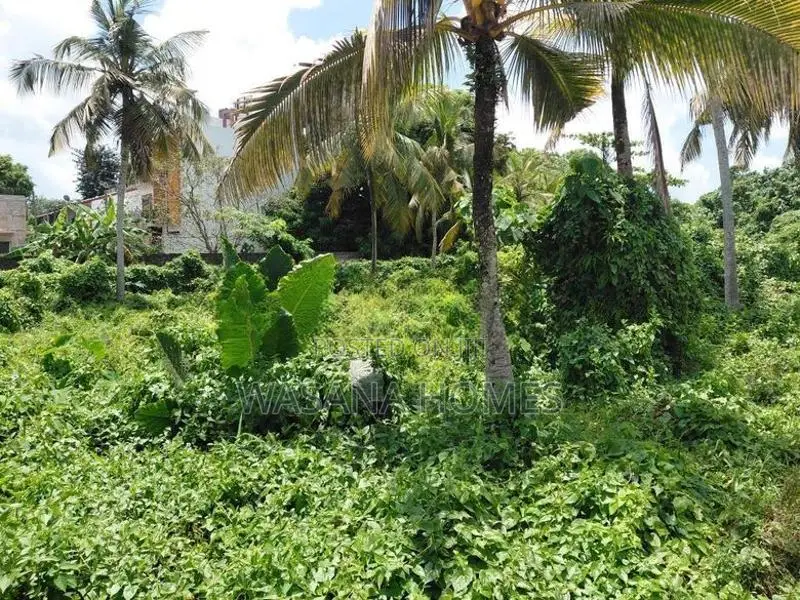 Super Land for Sale Borelesgamuwa
