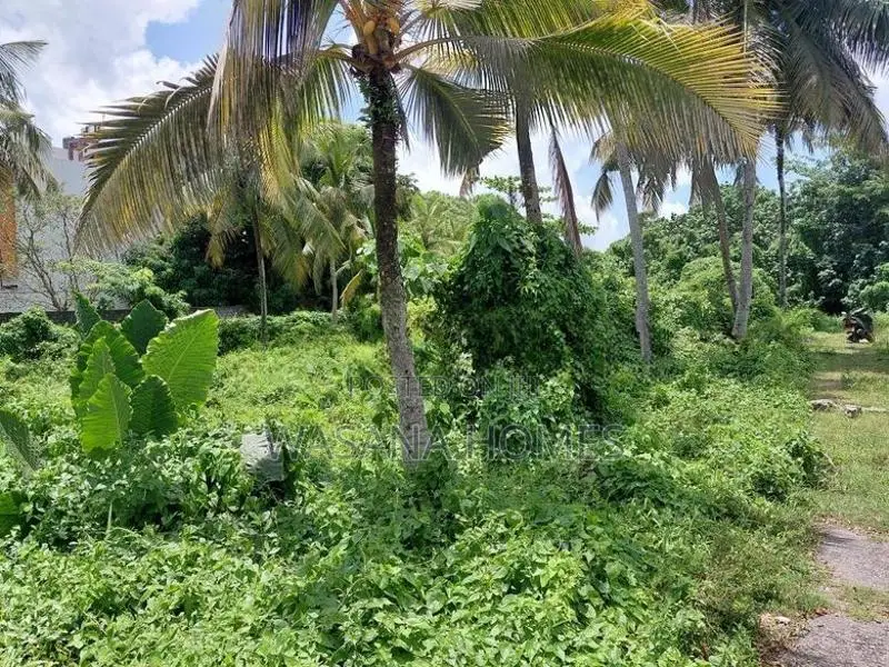 Super Land for Sale Borelesgamuwa