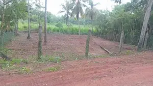 Prime Lands for Sale in Hokandara Samagi Mw Stunning Paddy Field Views