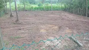 Prime Lands for Sale in Hokandara Samagi Mw Stunning Paddy Field Views