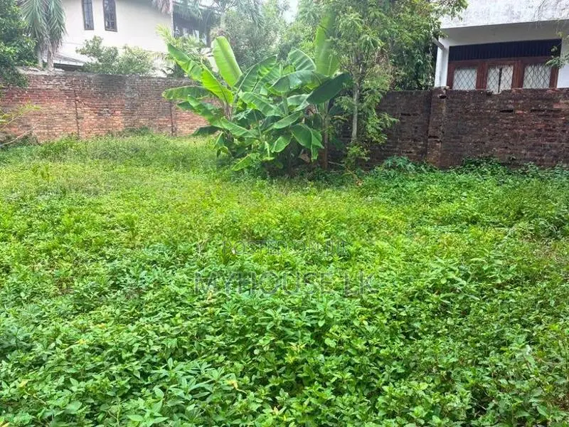 Land for Sale in Colombo 05