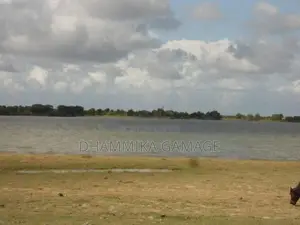 වැවට මායිම පිහිටි ඉඩම විකිනිමට හම්බන්තොට