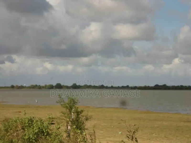 වැවට මායිම පිහිටි ඉඩම විකිනිමට හම්බන්තොට
