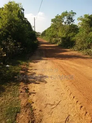 Beach Land for Sale in Ambalanthota