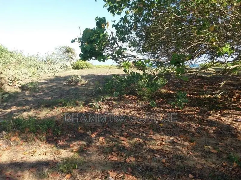 Beach Land for Sale in Ambalanthota