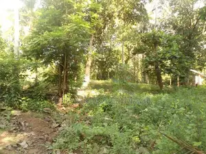 ගග අද්දර ඉඩම විකිනිමට Ambalanthota