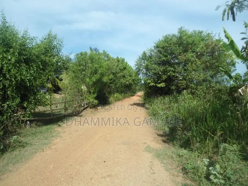 ගග අද්දර ඉඩම විකිනිමට Ambalanthota