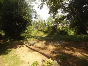 ගග අද්දර ඉඩම විකිනිමට Ambalanthota