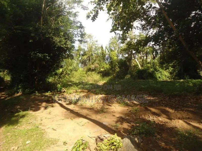 ගග අද්දර ඉඩම විකිනිමට Ambalanthota