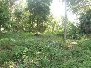 ගග අද්දර ඉඩම විකිනිමට Ambalanthota