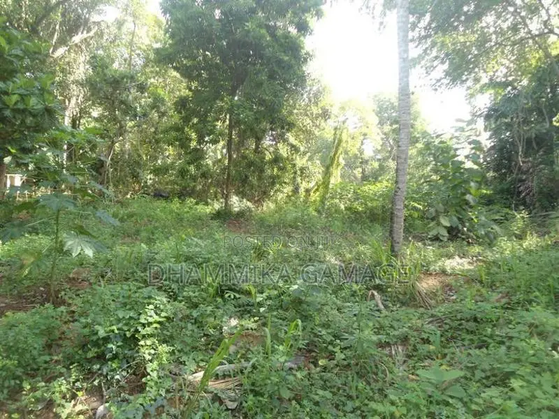 ගග අද්දර ඉඩම විකිනිමට Ambalanthota