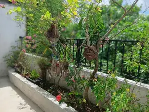 Spacious 4-Bedroom House For Rent In Maharagama