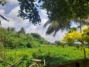Spacious 4-Bedroom House For Rent In Maharagama