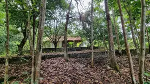 Wood Land with A Holiday Bungalow Gonapola