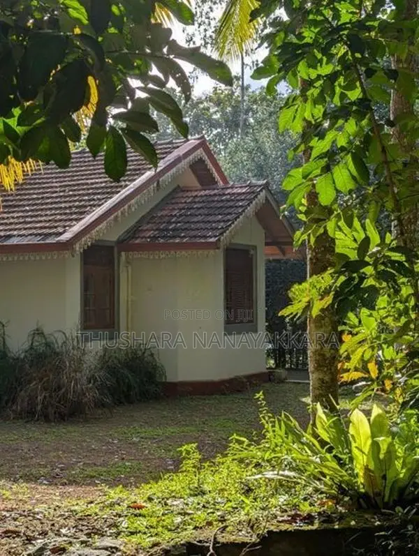 Wood Land with A Holiday Bungalow Gonapola