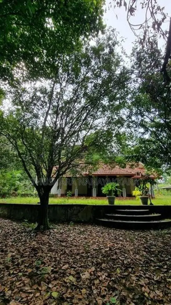 Wood Land with A Holiday Bungalow Gonapola