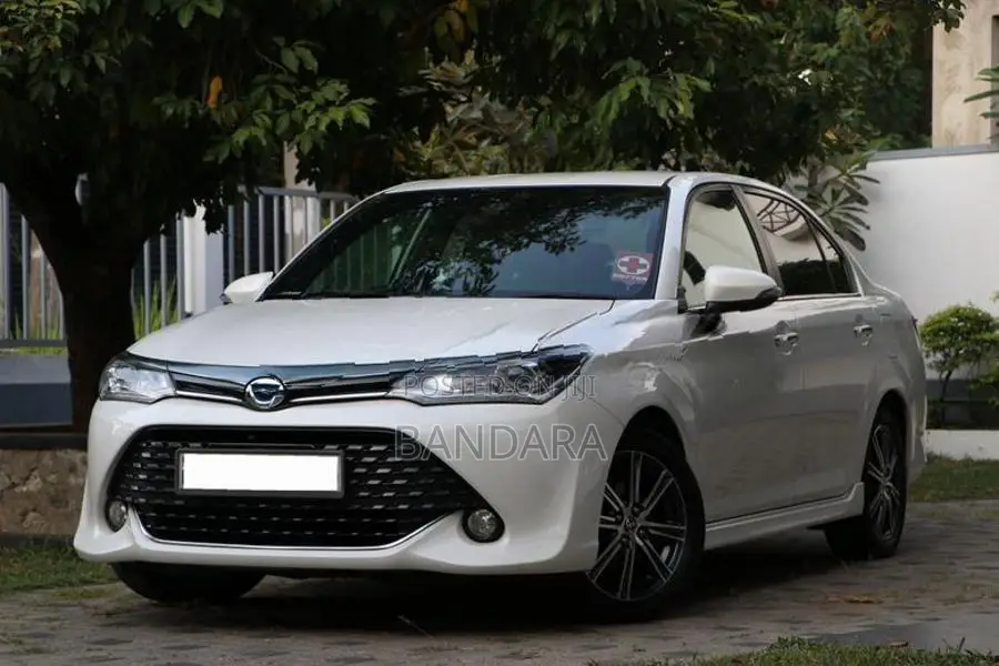 Toyota Axio WxB 2017