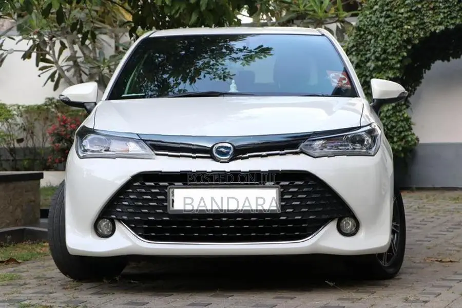 Toyota Axio WxB 2017