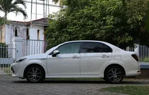 Toyota Axio WxB 2017