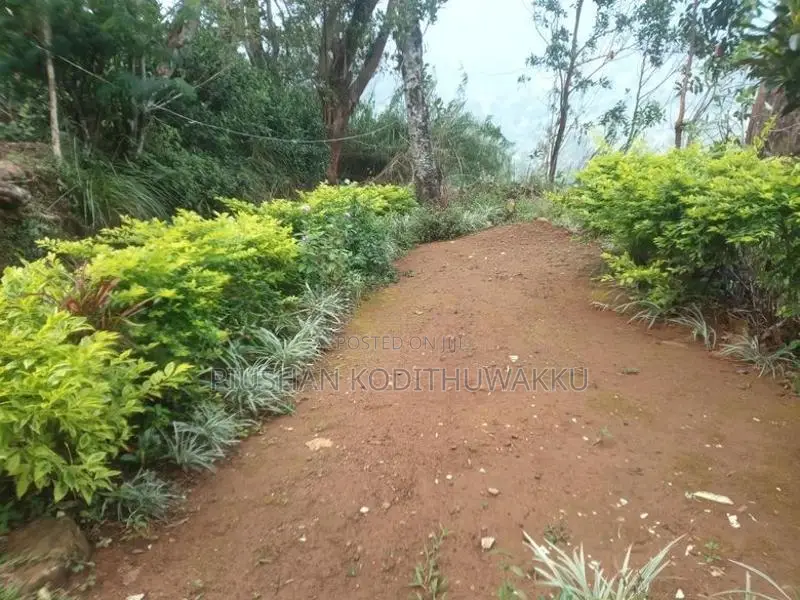 නිවසක් විකිනීමට ඇත.