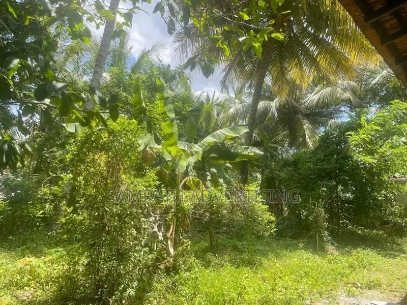 House for Sale in Ibbagamuwa