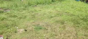 හෝමාගම ආටිගල පර්චස් අටක්