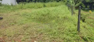 හෝමාගම ආටිගල පර්චස් අටක්