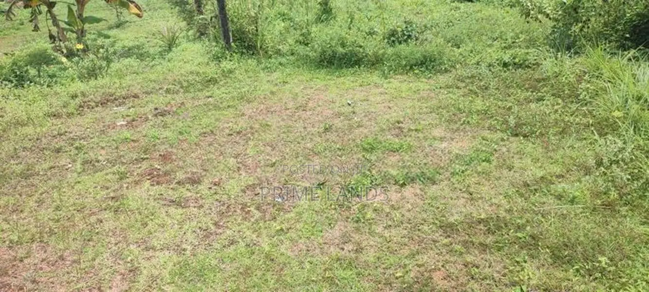 හෝමාගම ආටිගල පර්චස් අටක්