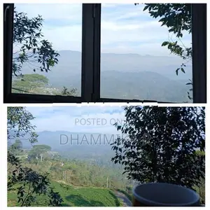 House For Rent At Haputale - In A Peaceful Tea Estate Environment