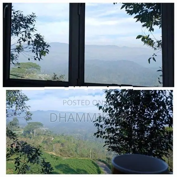 House For Rent At Haputale - In A Peaceful Tea Estate Environment