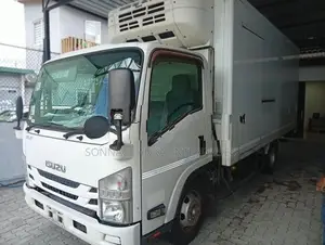 Isuzu Elf Long Freezer Truck 2016