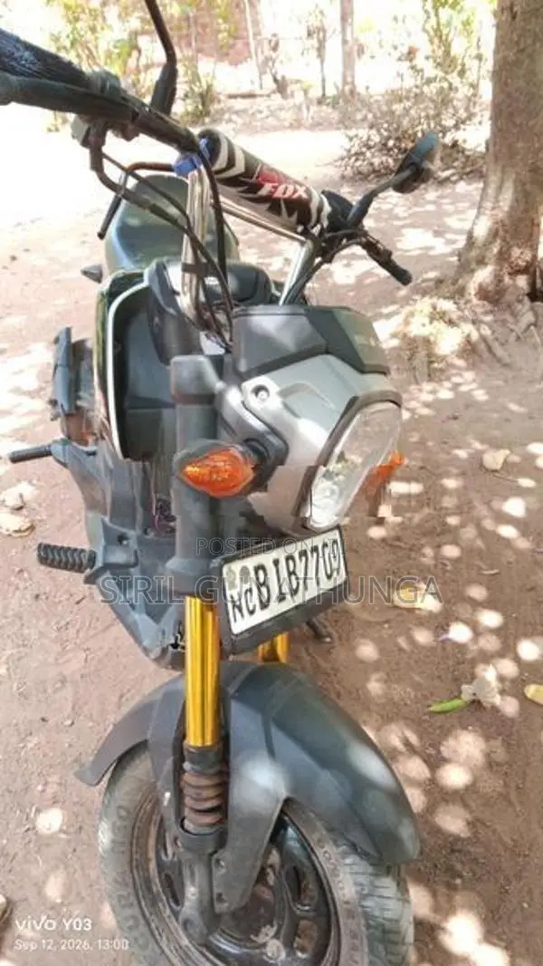 Honda Navi 2017