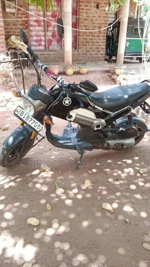 Honda Navi 2017