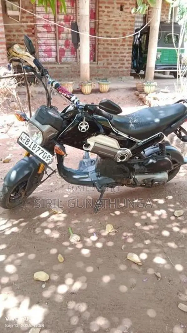 Honda Navi 2017