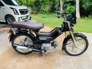 Singer Safari 2019