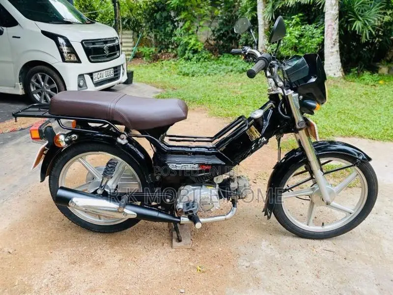 Singer Safari 2019