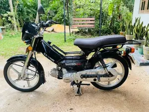 Singer Safari 2019