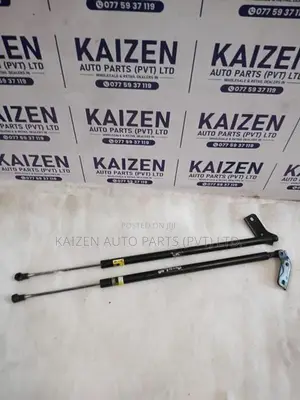 Toyota Prius 40 Dicky Door Shock