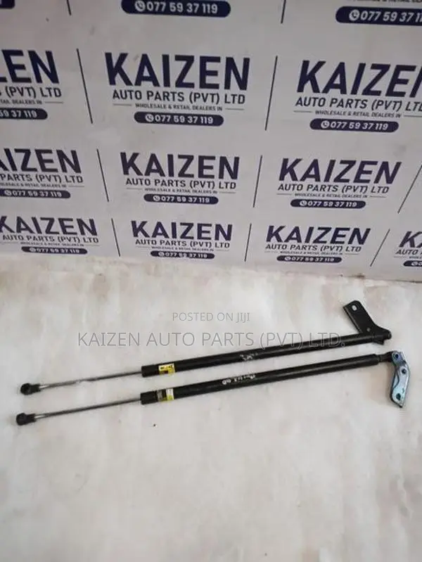 Toyota Prius 40 Dicky Door Shock