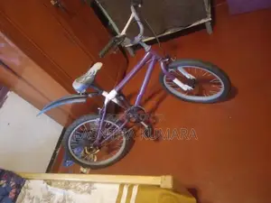 Kids සියල්ල සදා ඇත හොදම තත්වයේ